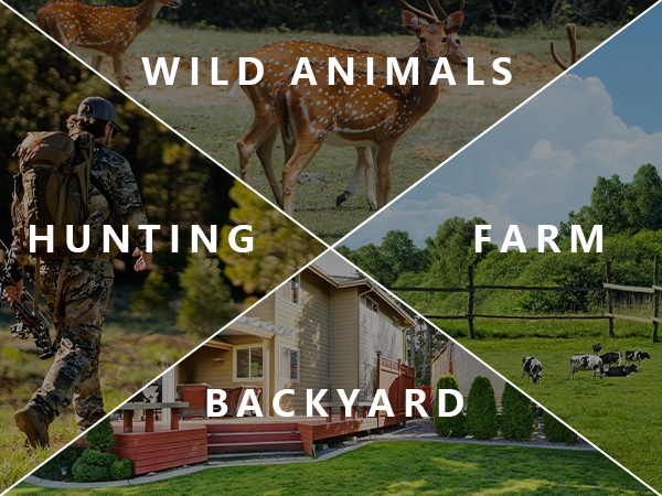 hunting camera