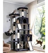 Gitelsnour Cat Tree for Indoor Cats, 71'' (180cm) Multi-Level Cat Tower for Large Adult, Sturdy C...