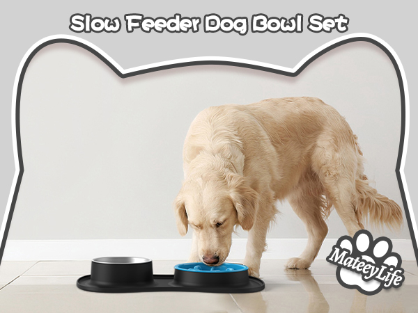 dog bowls, slow feeder dog bowls, dog bowl, dog food bowl, dog slow feeder bowl,dog bowls small size