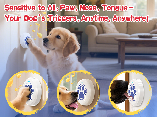dog training bells