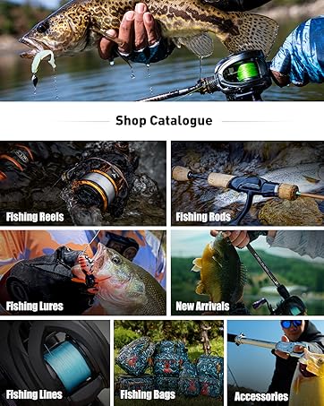 Kingdom fishing