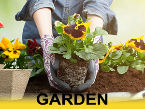 for plant care