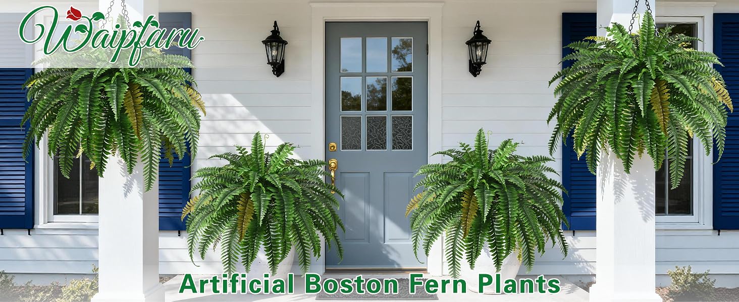 fake ferns