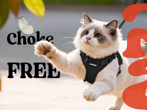 rabbitgoo Escape Proof Cat Harness with Leash Set