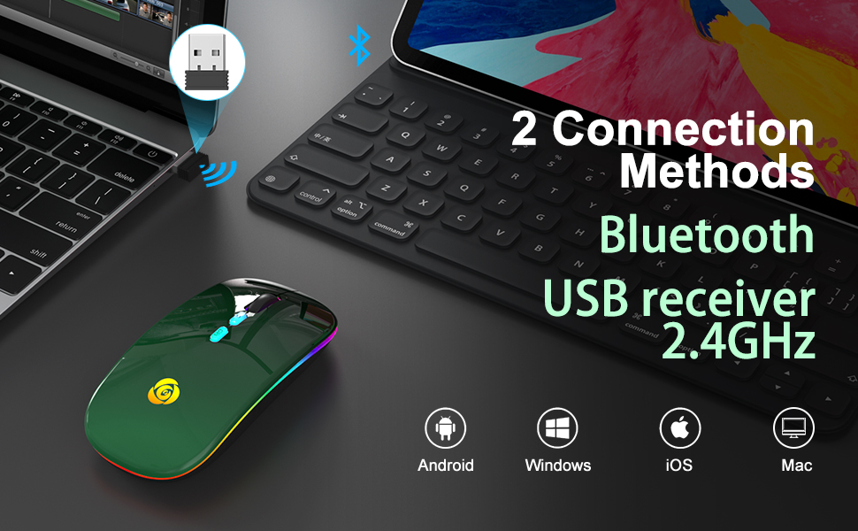 apple mouse Apple mouse