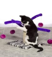 Prevue Pet Products Kitty Power Bounce 'n Spring Scratcher Furniture - Indoor Cat Scratcher Tower.
