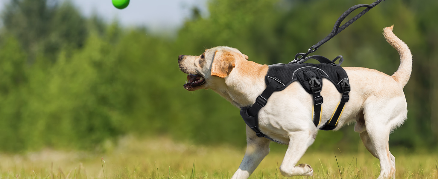 dog harness large sized dogs