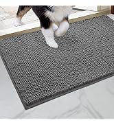 HOMEIDEAS Doormat Indoor Entrance, 32"x20", Highly Absorbent Chenille Muddy Dog Washable Mat, Non...
