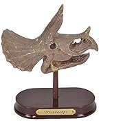 ArtCreativity Dinosaur Excavation Kit for Kids, 5.5” Triceratops Skull Excavating Set with Fossil...