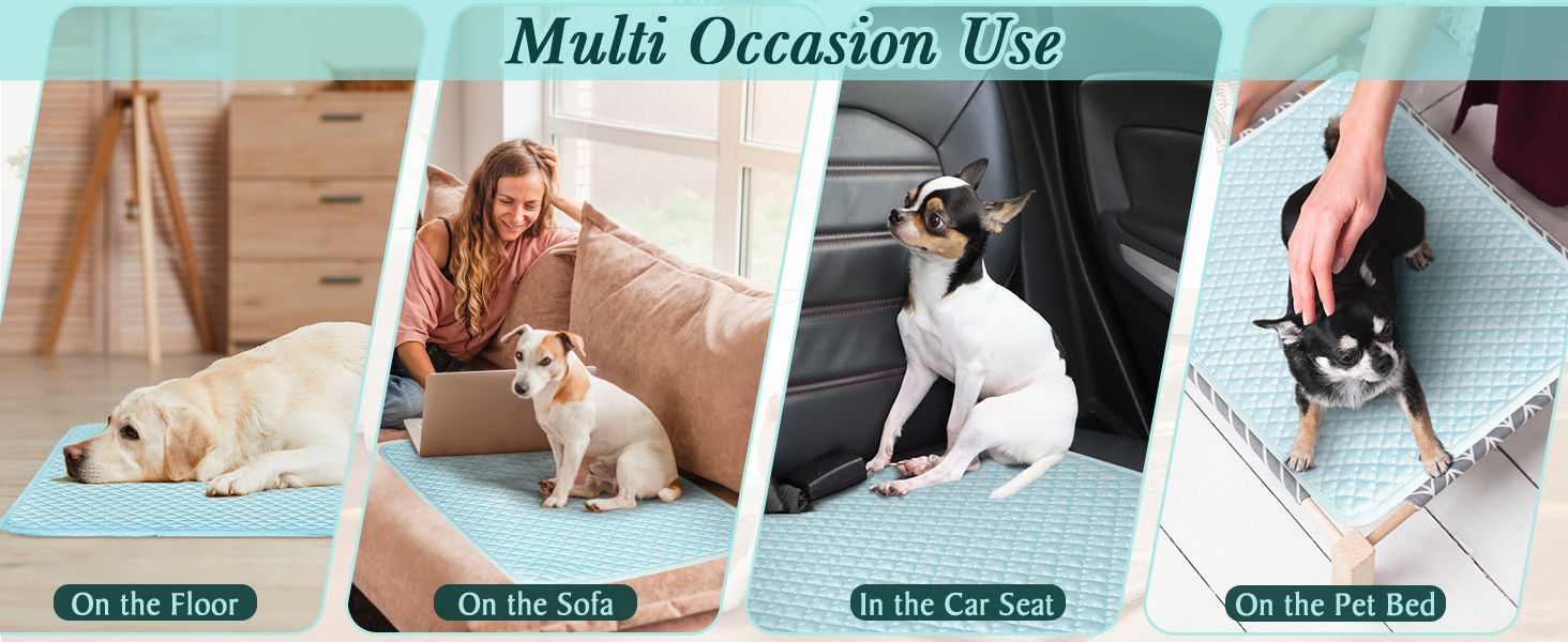 Perfect for Indoor and Outdoor Use: