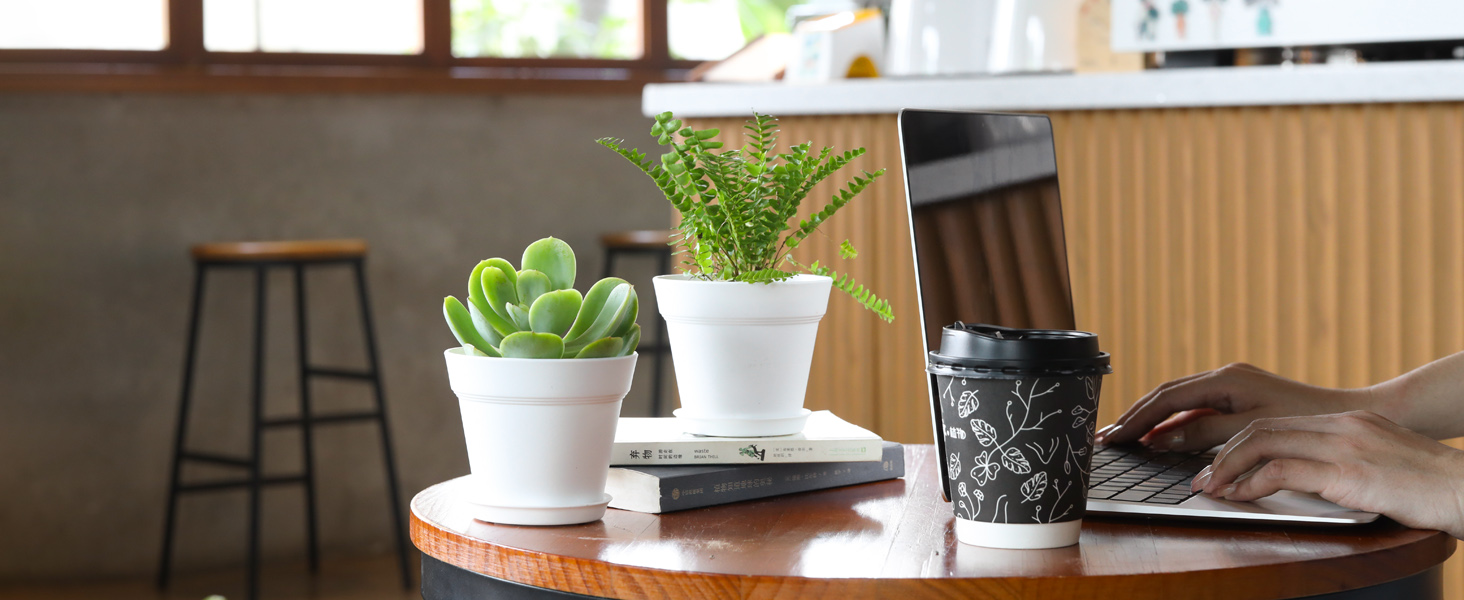 plant pots