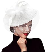 DRESHOW Fascinators Hat Mesh Veil Feathers Hat with a Headband and a Clip Tea Party Headwear for ...