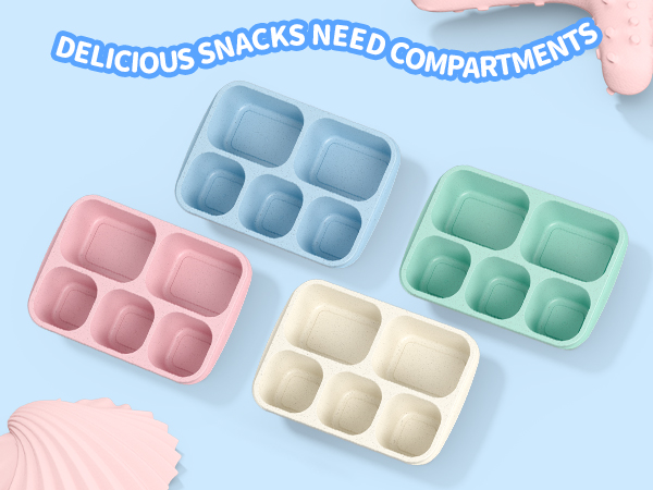 bento box for adult