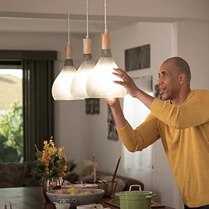 Put in Bulbs Base
