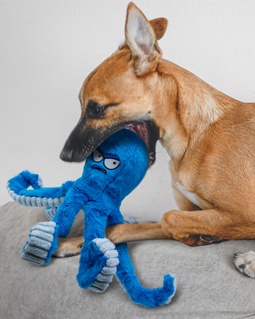 chew