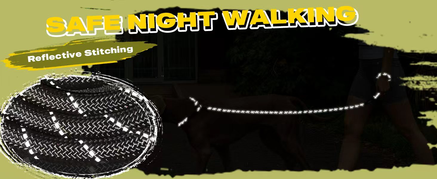 Slip Lead Dog Leash