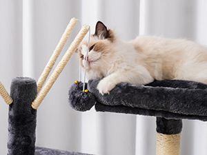 cat tree
