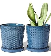 LE TAUCI Plant Pots, 5.5 Inch Pots for Indoor Plants, Planters with Drainage Hole and Saucer for ...