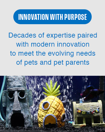 innovation with purpose