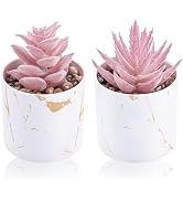 Der Rose 2 Pack Fake Plants Pink Room Decor for Office Desk Accessories | Mini artificial succule...