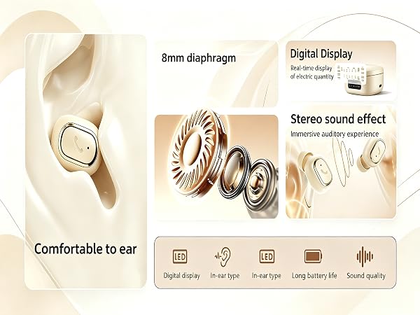Invisible Mini Earbuds