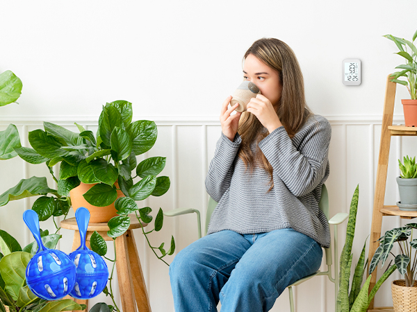 Boost the humidity in the air in your everyday life