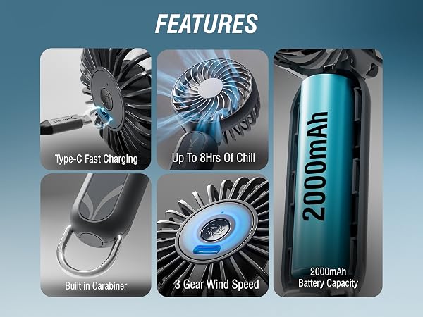 FEATURES