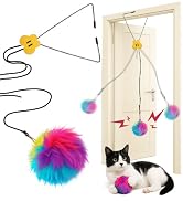 Fokauiwo Interactive Cat Toys for Indoor Cats, Self-Play Hanging Door Toy for Kitten, Adjustable ...
