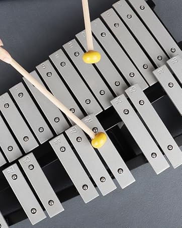 https://m.media-amazon.com/images/S/aplus-media-library-service-media/bd88f404-268d-4d76-8d30-a4a7cd2e6d33.__CR24,0,676,846_PT0_SX362_V1___.jpg