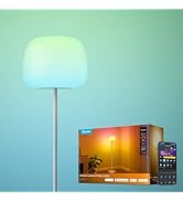Govee Lantern Floor Lamp, Black