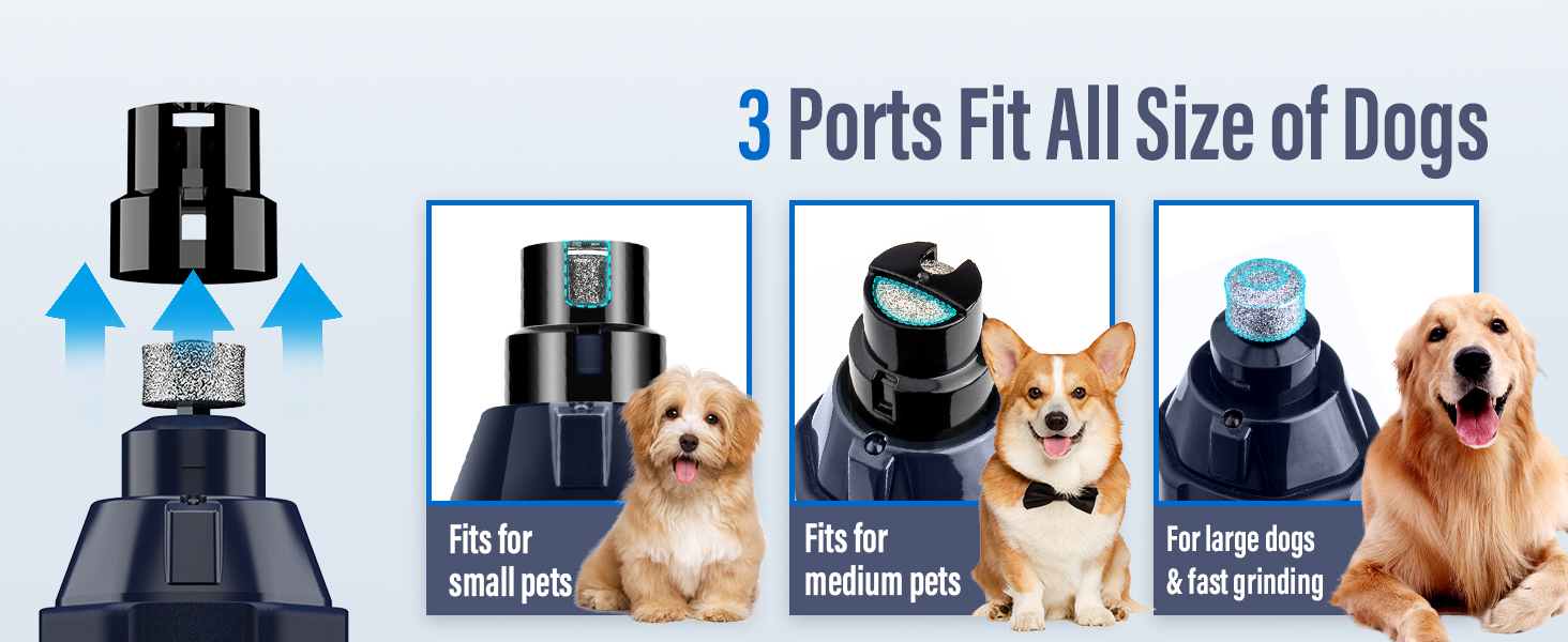 3 ports for all size dogs