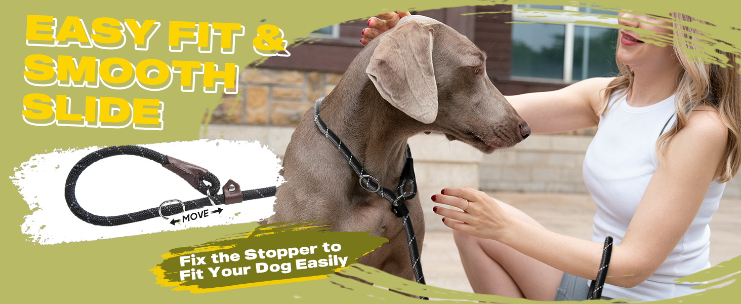 Slip Lead Dog Leash