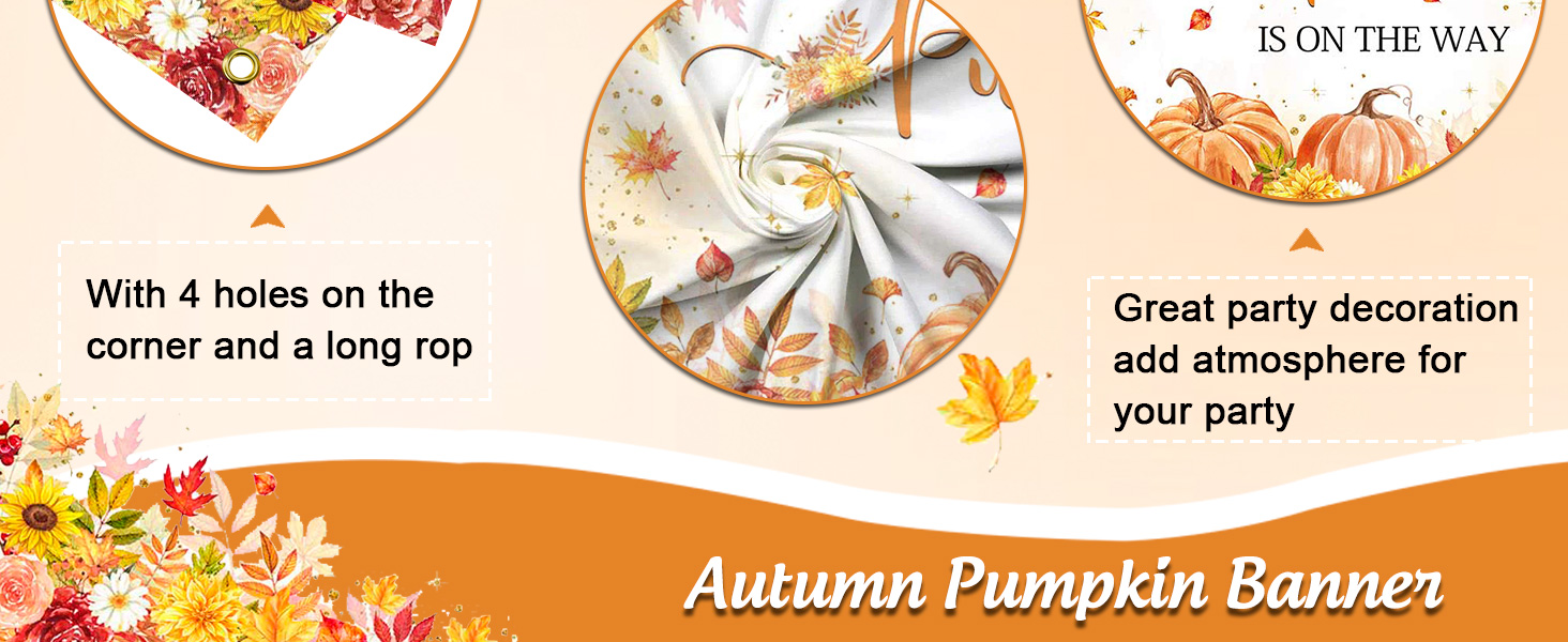 little pumpkin baby shower decorations