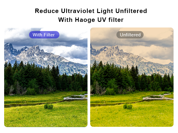 UV Filter