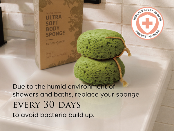 sponge loofah