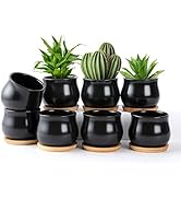 SHECIPIN 8 Pack Succulent Plant Pot, Matte Black Mini 2.6 inch Ceramic Flower Planter Pot with Ba...
