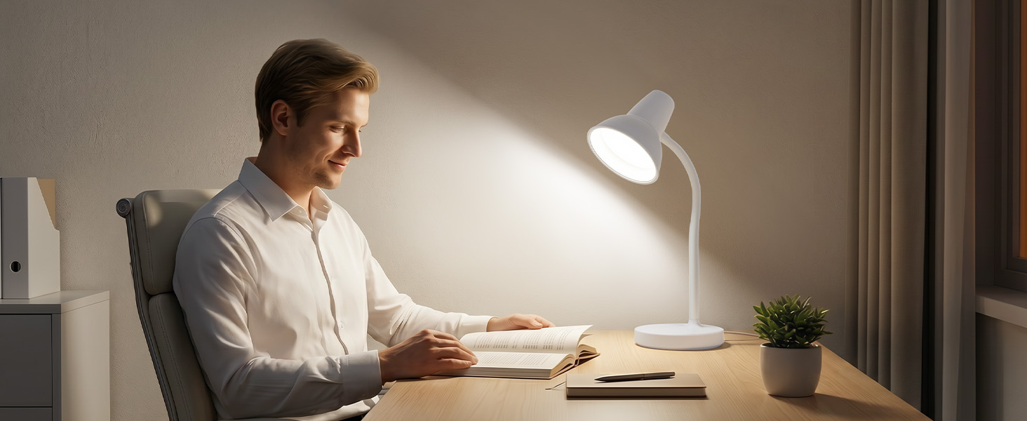 home office LED desk lamp