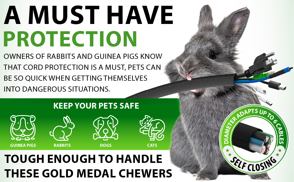 pet safe pet protection