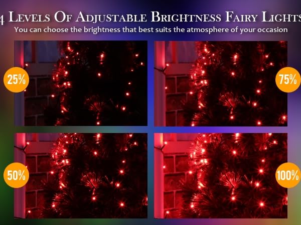 adjustable brightness