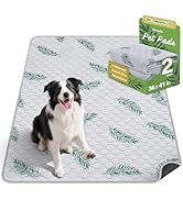 WanpeeGoo Washable Pee Pads for Dogs, 2Pack Reusable Puppy Pads, Super Absorbent & Leakproof Dog ...