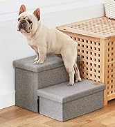 2-Dog Stairs