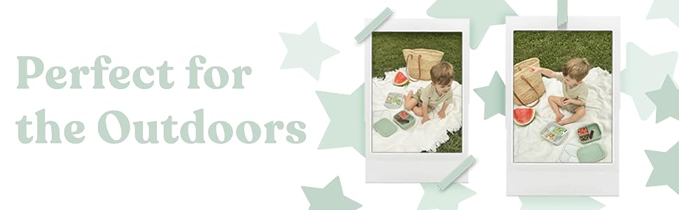 sage, green, bento, box, outdoors, snacks
