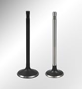 16 Fit for GM 2.0-2.2 - 2.4 ECOTEC DOHC Intake Exhaust Engine Valves