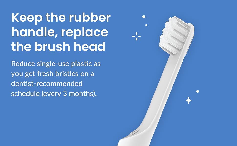 keep the rubber handle, replace the brush head every 3 months