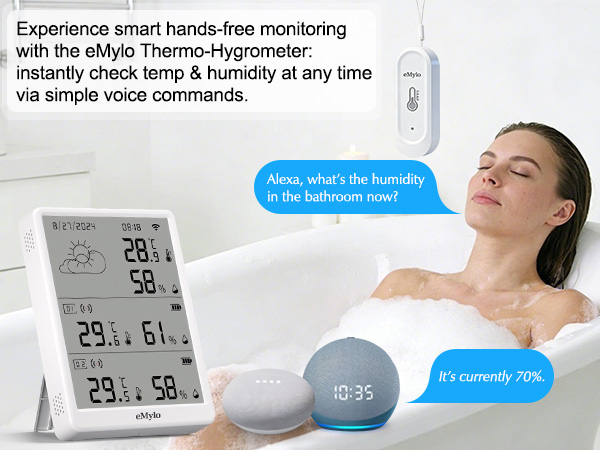 remote temperature monitor