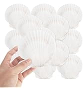 LDHHYH 24 Pack 4-5 Inch White Sea Shells, White Scallop Shells, Large Natural Sea Shells for Craf...