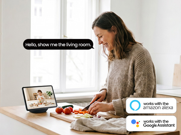 The cameras for home security are compatible with the Alexa or Google home