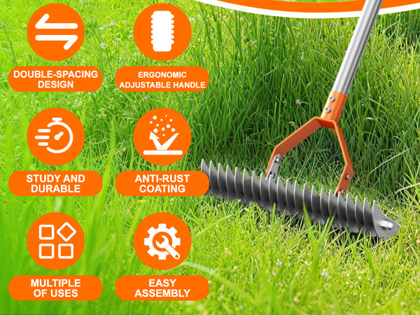 thatch rake for lawn