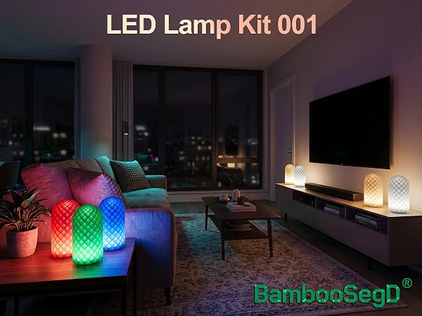 LED Lamp Kit 001
