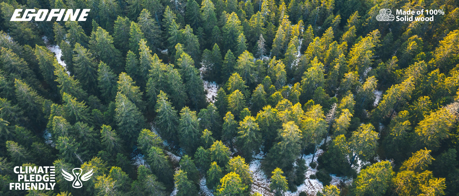 story brand forest